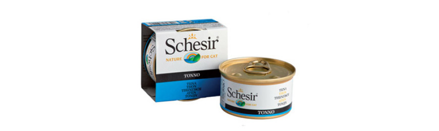 Schesir - 啫喱 系列